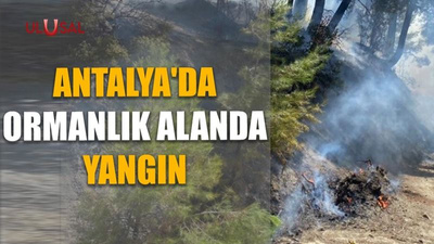 Antalya'da ormanlık alanda yangın